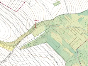 Dražba lesa, Březí nad Oslavou, 150 m2