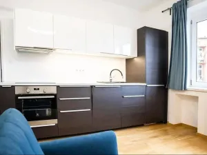 Pronájem bytu 1+kk, Praha - Nusle, U Pernštejnských, 33 m2