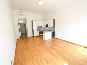 Pronájem bytu 1+kk, Praha - Vinohrady, Vinohradská, 43 m2