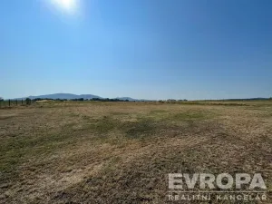 Prodej zahrady, Pasohlávky, 6852 m2