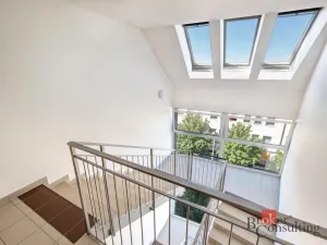 Prodej bytu 5+kk, Plzeň - Severní Předměstí, Otýlie Beníškové, 199 m2