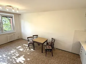 Pronájem bytu 1+kk, Praha - Chodov, Nad Opatovem, 30 m2