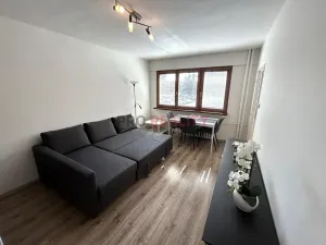 Prodej bytu 1+1, Ostrava, Petra Křičky, 29 m2