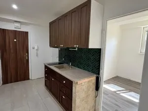Prodej bytu 1+1, Havířov, Jaroslava Seiferta, 35 m2