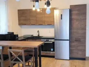 Pronájem bytu 2+kk, Plasy, U Václava, 55 m2