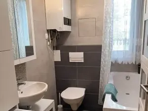 Pronájem bytu 2+kk, Plasy, U Václava, 55 m2