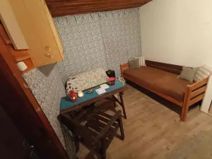 Prodej chaty, Havířov, Hraniční, 30 m2