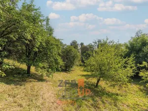 Prodej pozemku pro bydlení, Borotín, 1005 m2