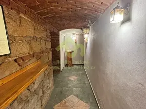 Prodej činžovního domu, Plzeň, Lindauerova, 776 m2
