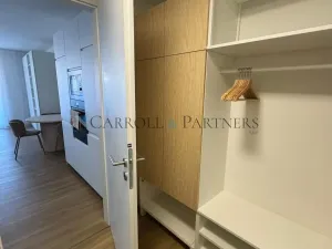Pronájem bytu 1+kk, Ostrava - Slezská Ostrava, U Hájenky, 40 m2