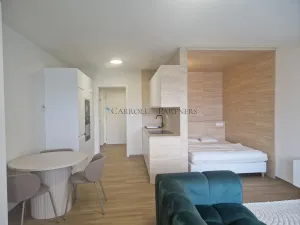 Pronájem bytu 1+kk, Ostrava - Slezská Ostrava, U Hájenky, 40 m2
