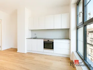 Pronájem bytu 1+kk, Brno - Zábrdovice, Bratislavská, 24 m2