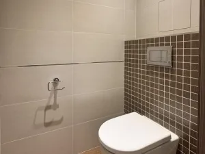 Pronájem bytu 2+kk, Praha - Žižkov, Olšanská, 50 m2
