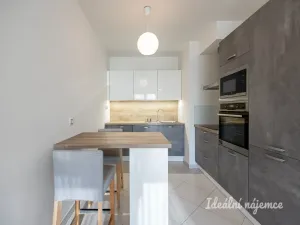 Pronájem bytu 2+kk, Praha - Žižkov, Olšanská, 50 m2