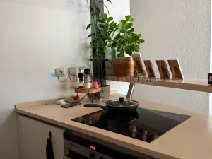 Pronájem bytu 2+kk, Ostrava - Moravská Ostrava, Partyzánské náměstí, 54 m2