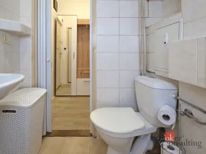 Prodej bytu 1+kk, Liberec - Liberec III-Jeřáb, Františkovská, 21 m2