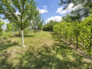 Prodej rodinného domu, Snovídky, 117 m2