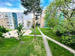 Pronájem bytu 2+1, Praha - Vokovice, Kladenská, 52 m2