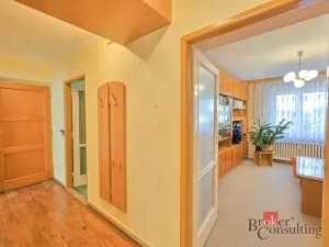 Prodej bytu 2+1, Hodonín, J. Suka, 58 m2