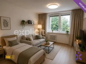 Pronájem bytu 1+1, Zlín, Dřevnická, 38 m2