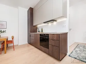 Prodej bytu 2+kk, Praha - Nusle, V Horkách, 47 m2