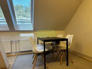 Pronájem bytu 1+1, Brno, Kopečná, 55 m2