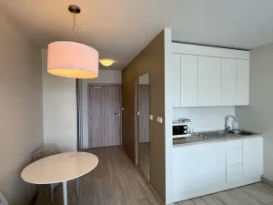 Prodej apartmánu, Dolní Morava, 28 m2