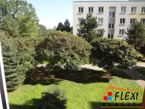 Pronájem bytu 3+1, Orlová, Okružní, 83 m2