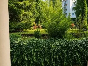Pronájem bytu 2+kk, Praha - Vysočany, U vysočanského pivovaru, 50 m2