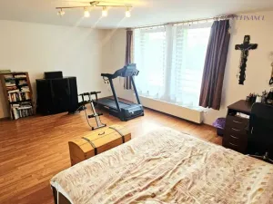 Prodej obchodního prostoru, Kralupy nad Vltavou - Mikovice, V Uličce, 235 m2