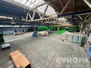 Pronájem výrobních prostor, Plzeň - Skvrňany, Domažlická, 2000 m2