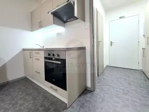 Pronájem bytu 1+kk, Ostrov - Horní Žďár, 29 m2