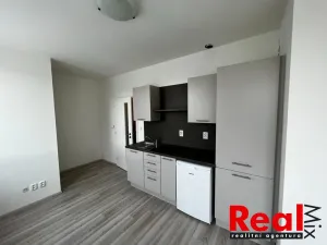 Pronájem bytu 1+kk, Brno - Veveří, Kounicova, 24 m2