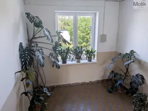 Pronájem bytu 3+1, Košťany, Hornická, 90 m2