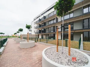 Pronájem bytu 1+kk, Plzeň - Jižní Předměstí, Železná, 37 m2