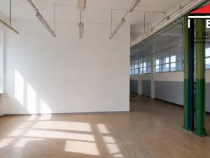 Pronájem skladu, Ostrava, Vratimovská, 169 m2