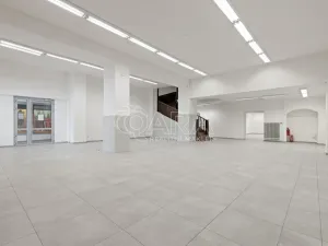 Pronájem obchodního prostoru, Nový Jičín, Masarykovo nám., 470 m2
