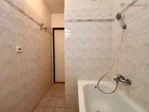 Prodej bytu 3+kk, Vyškov - Brňany, Palánek, 88 m2