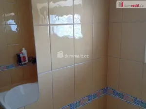 Pronájem atypického bytu, Bořanovice, Hlavní, 15 m2