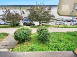 Prodej bytu 1+1, Příbram - Příbram VII, Legionářů, 41 m2