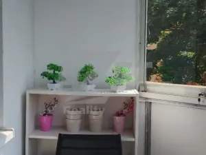 Prodej bytu 2+1, Uničov, Hrdinů, 54 m2