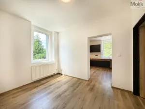 Pronájem bytu 2+1, Háj u Duchcova, Kubátova, 45 m2