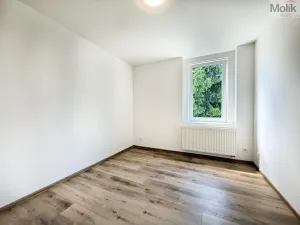 Pronájem bytu 2+1, Háj u Duchcova, Kubátova, 45 m2
