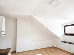Pronájem bytu 1+kk, Písek, Žižkova třída, 30 m2