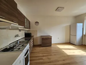 Pronájem bytu 1+1, Plzeň, Lazaretní, 45 m2