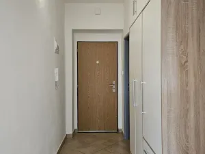 Pronájem bytu 1+1, Plzeň, Lazaretní, 45 m2