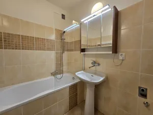 Pronájem bytu 1+1, Plzeň, Lazaretní, 45 m2