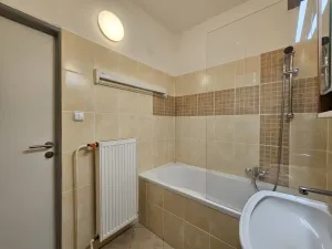 Pronájem bytu 1+1, Plzeň, Lazaretní, 45 m2