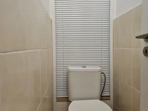 Pronájem bytu 1+1, Plzeň, Lazaretní, 45 m2