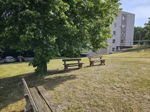 Pronájem bytu 1+1, Plzeň, Lazaretní, 45 m2
